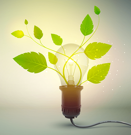 Clean Energy & Forestation Industry